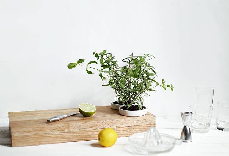 ilustrasi DIY peralatan dapur (dok.The Merry Thought)