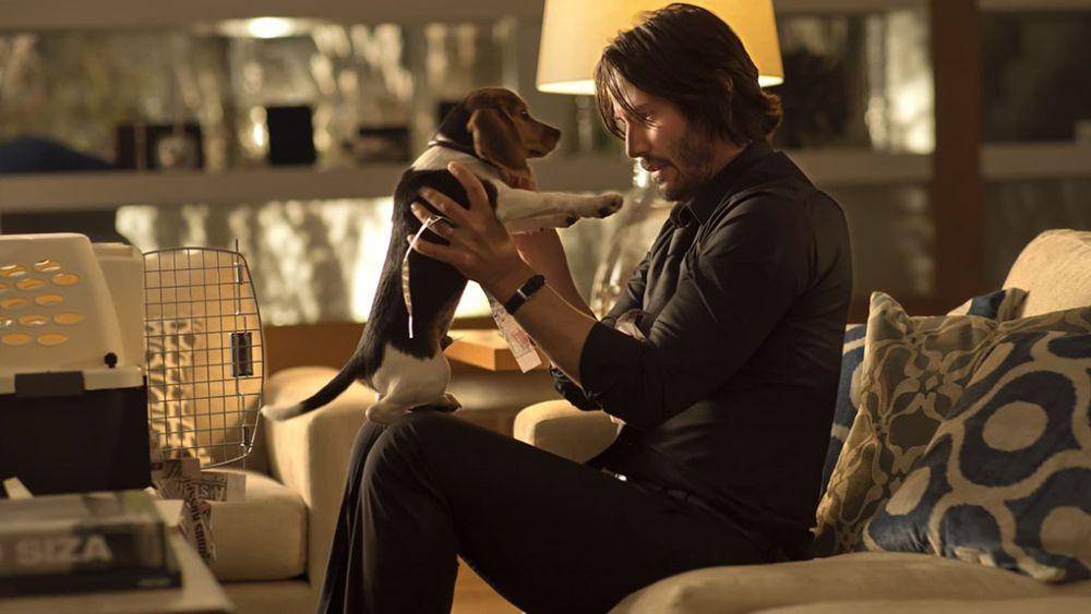 John Wick dan anjingnya (dok. Lionsgate/John Wick (2014))