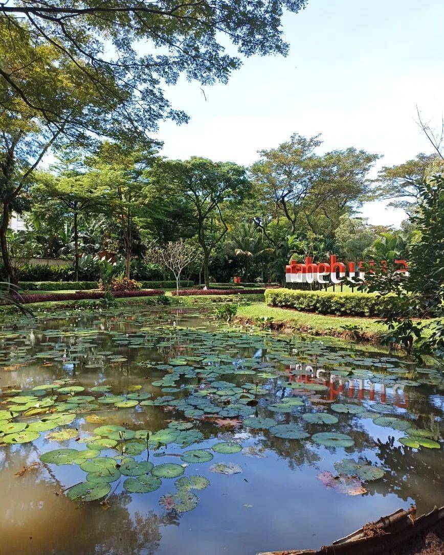 Ilustrasi Taman Tabebuya, Jakarta Selatan (instagram.com/kharismaciptaarifin)