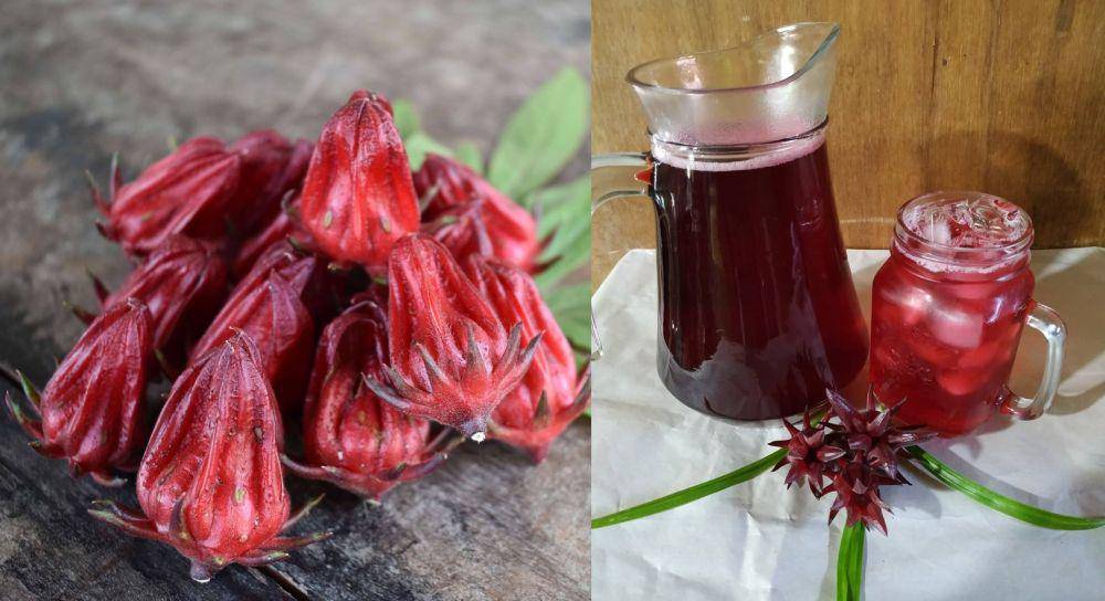 bunga rosela dan minuman dari sirup rosela (pixabay.com/wonderfulbali | instagram.com/esternoba)
