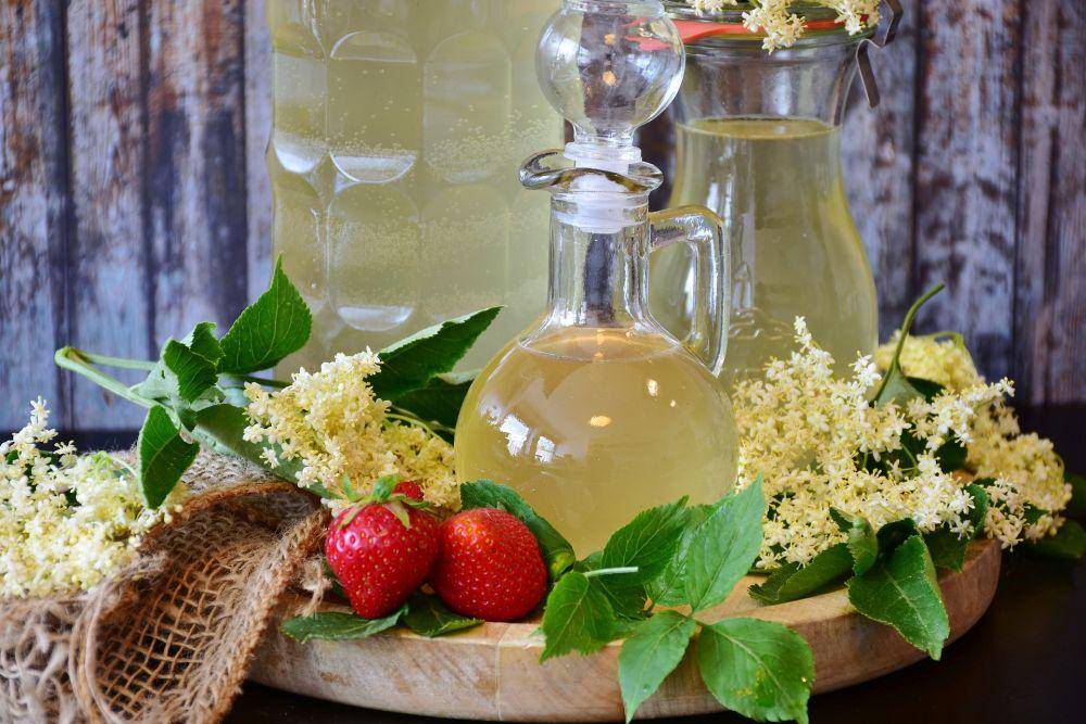 ilustrasi sirup dan bunga elder (pixabay.com/ritae)