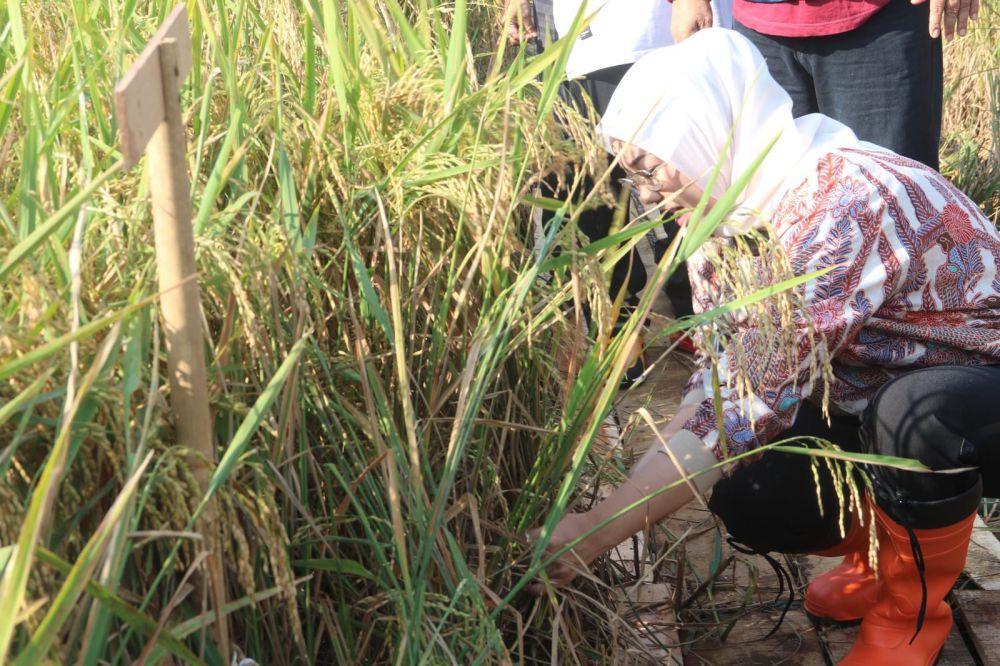 dok Diskominfo Purwakarta