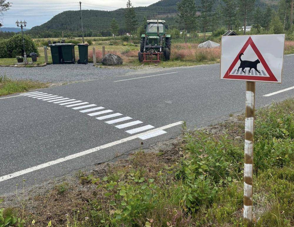 potret hal unik di Norwegia (reddit.com/user/Rayziii)