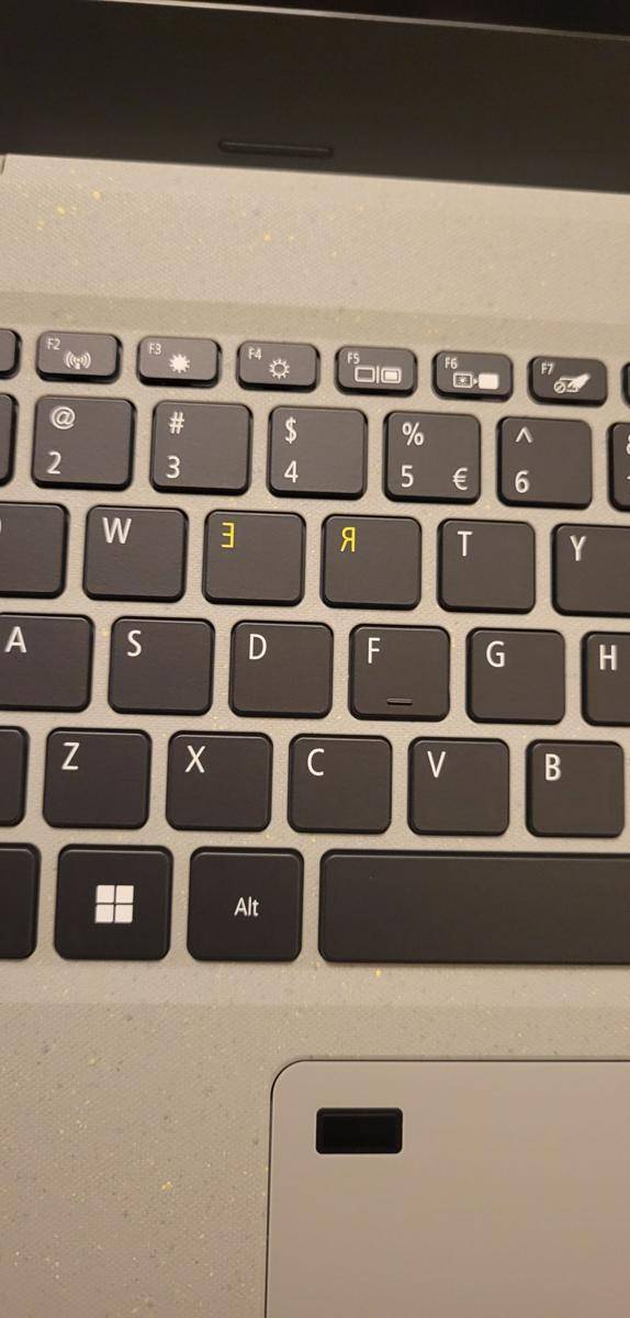 potret fitur unik sebuah laptop (reddit.com/user/jadeeyedcalico)