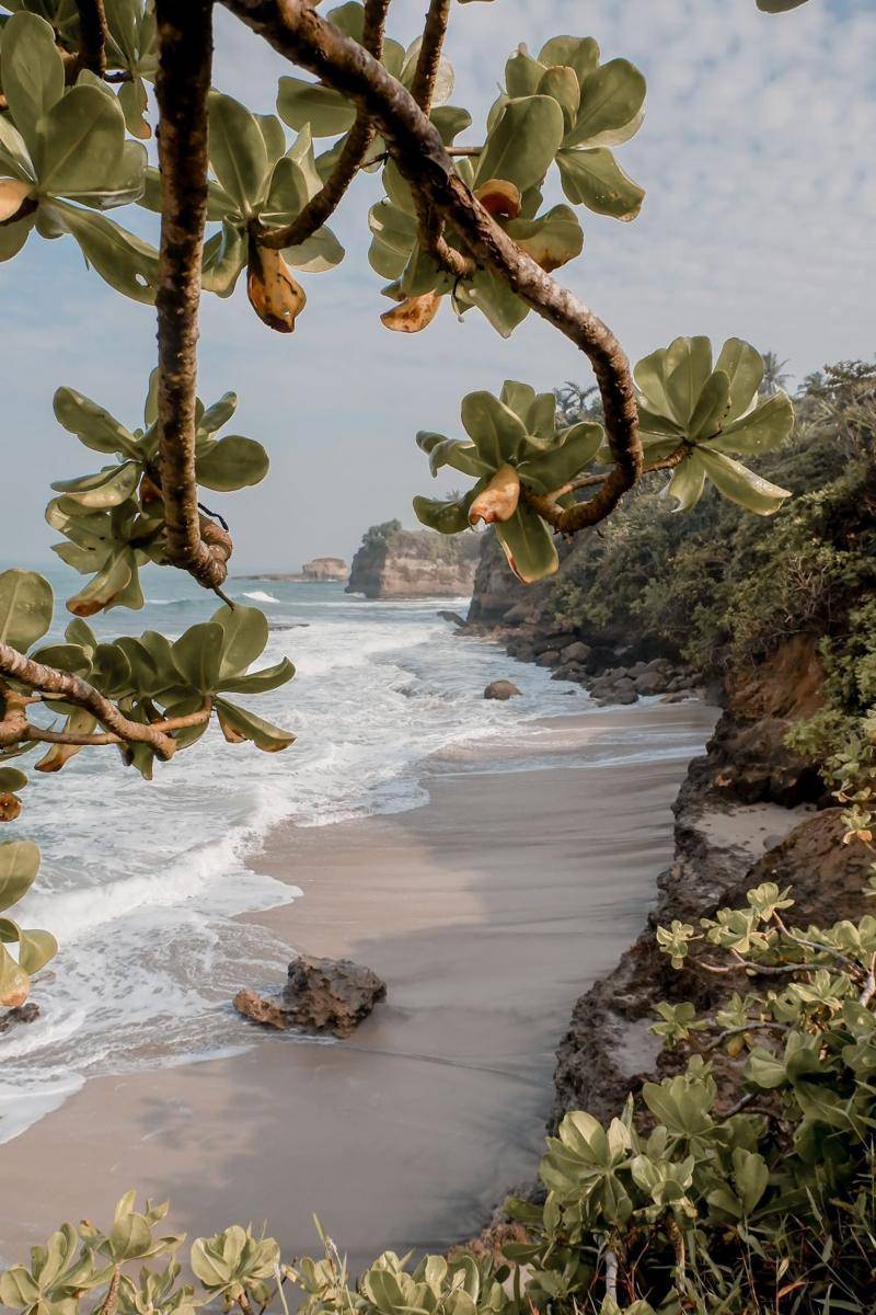 Potret Pantai Ujung Genteng di Sukabumi (unsplash.com/amadeashf)