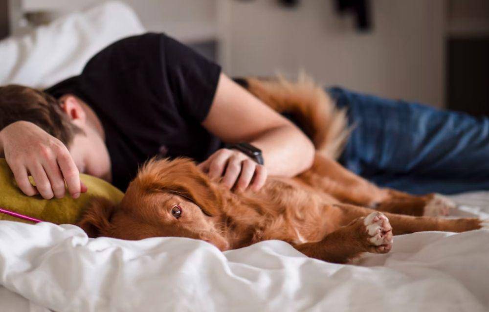ilustrasi pria yang tidur (unsplash.com/Jamie Street)