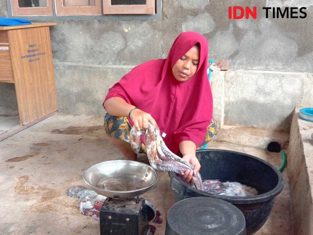 Gurita, salah satu hasil tangkapan nelayan di Dusun Padak Sie, Desa Seruni Mumbul, Kecamatan Pringgabaya, Lombok Timur. (IDN Times/Muhammad Nasir)