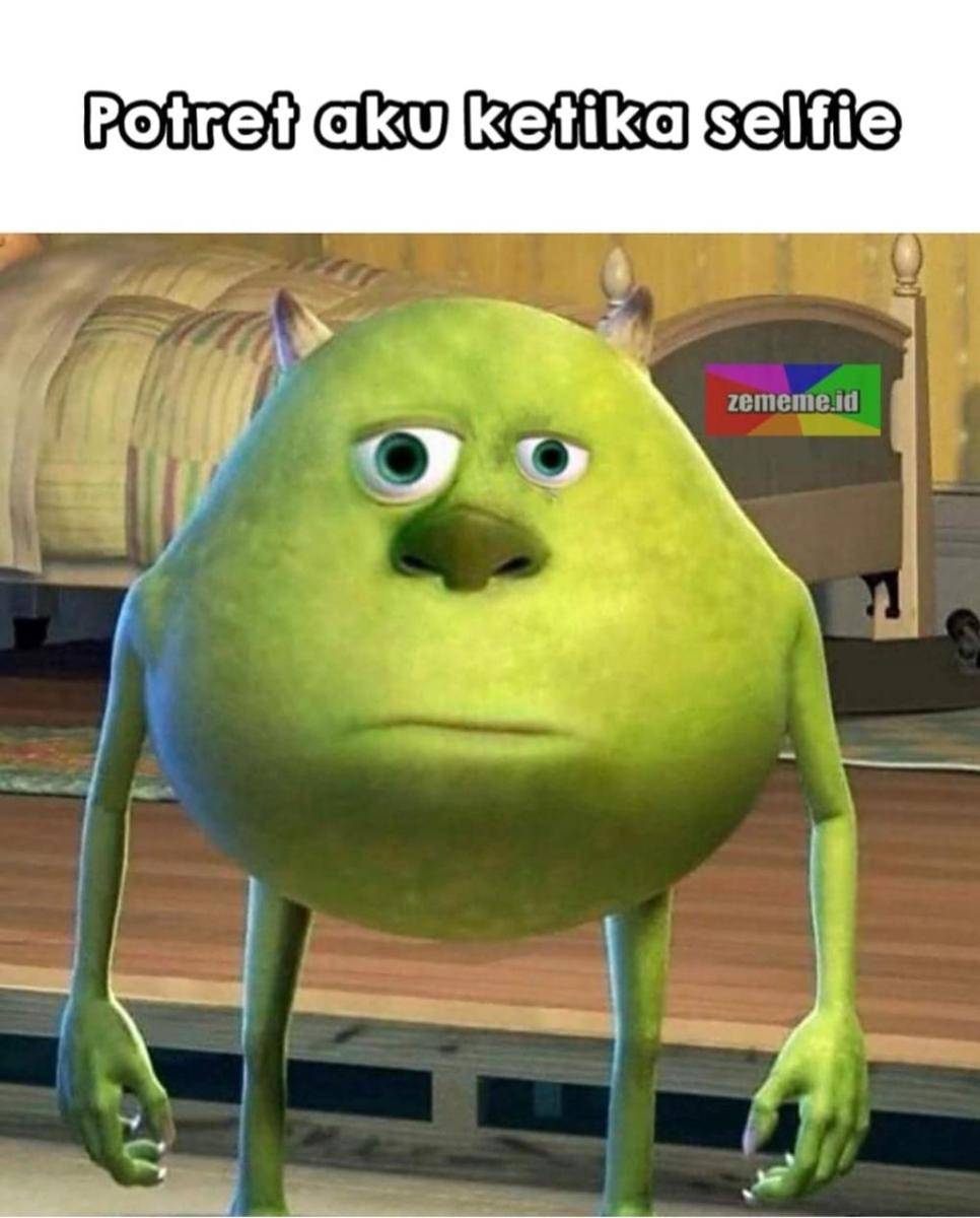 meme muka bengong (instagram.com/zememe.id)