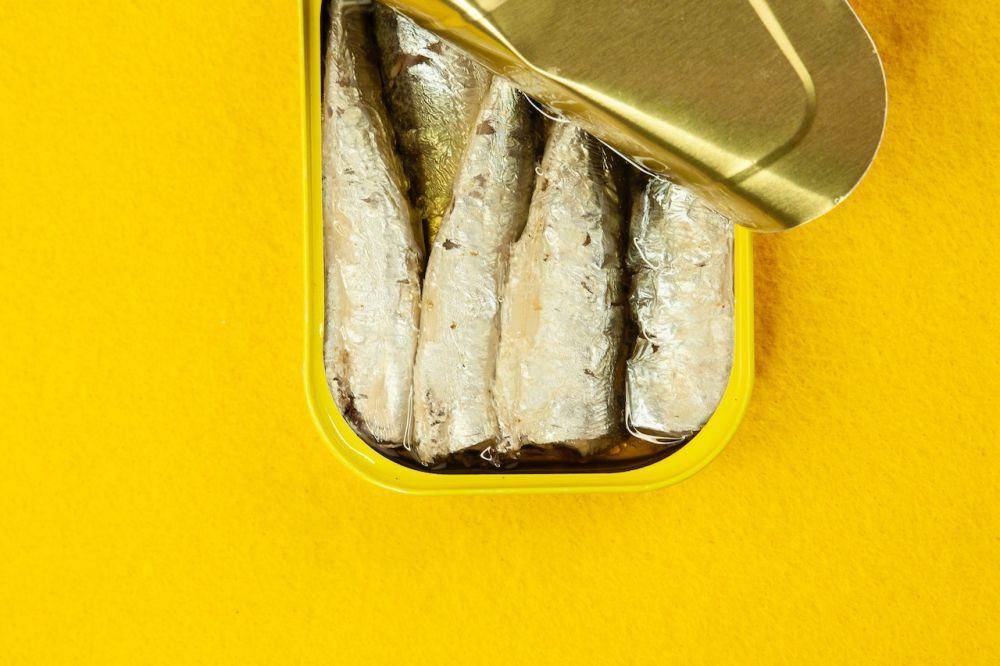 ilustrasi ikan kalengan (pexels.com/Karen Laårk Boshoff)