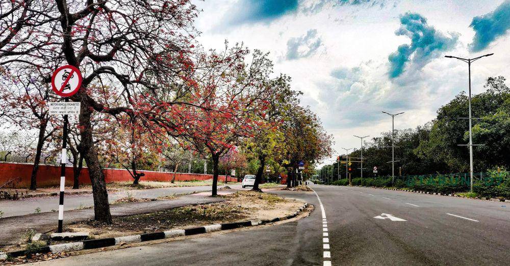 Chandigarh (unsplash.com/Tarun Dhiman)