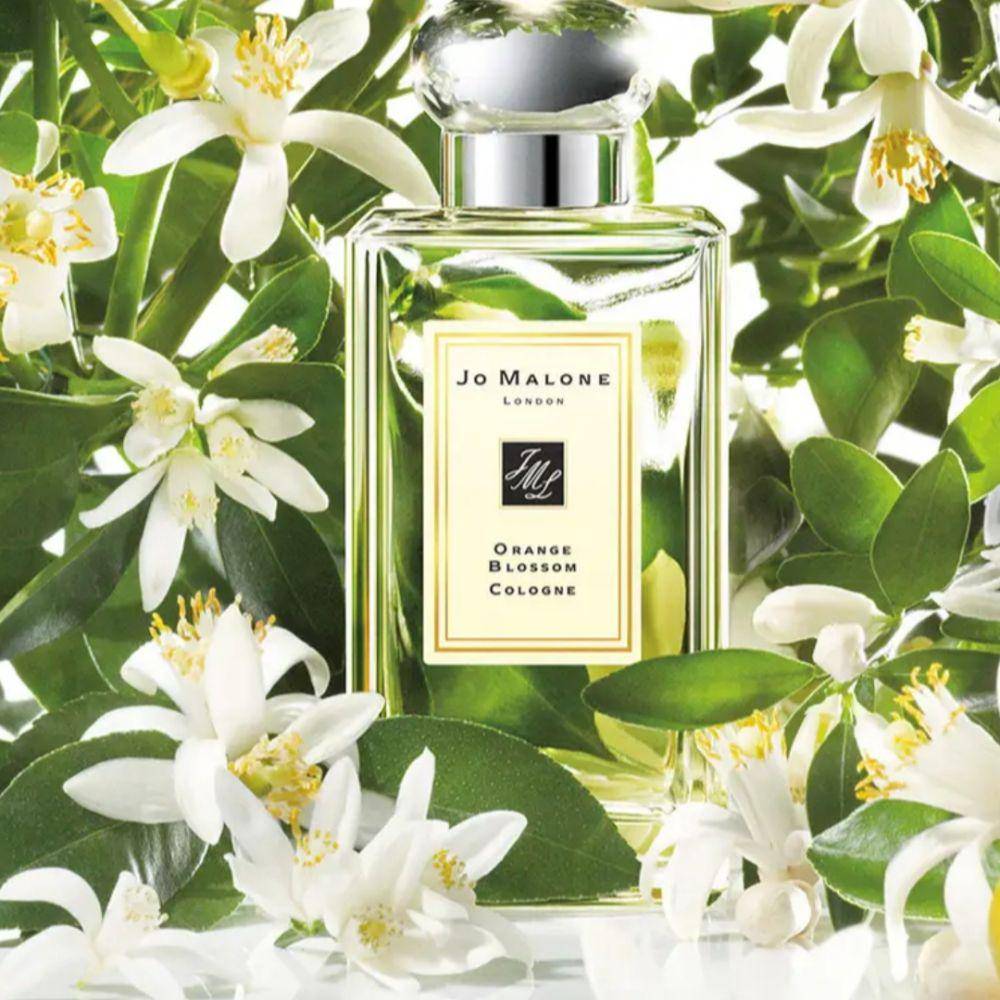 Jo Malone London Orange Blossom (nordstrom.com)