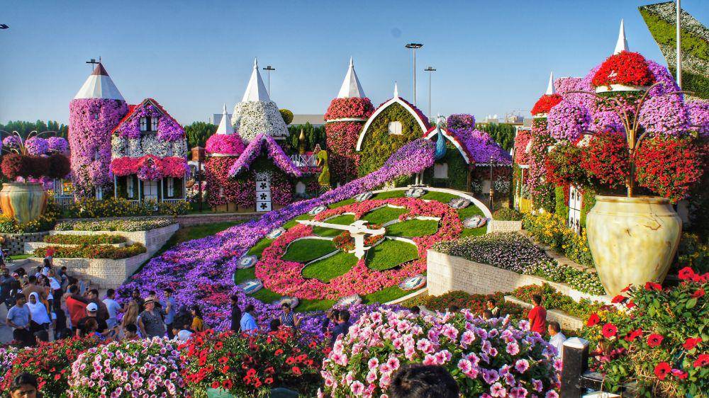 Dubai Miracle Garden (unsplash.com/Ali Raoufian)