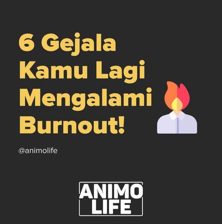 feed akun animolife (instagram.com/animolife)