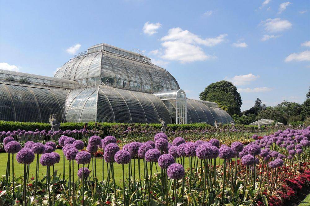 Royal Botanic Garden (pexels.com/Patrick Nizan)