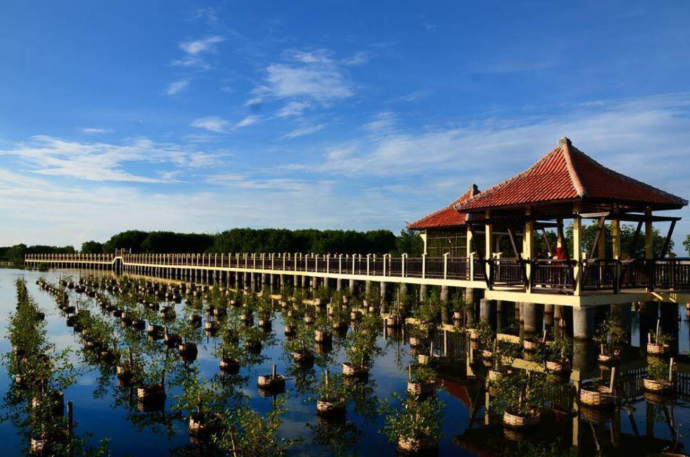 10 Taman Indah di Jawa Tengah yang Cocok Buat Ngabuburit Saat Ramadan