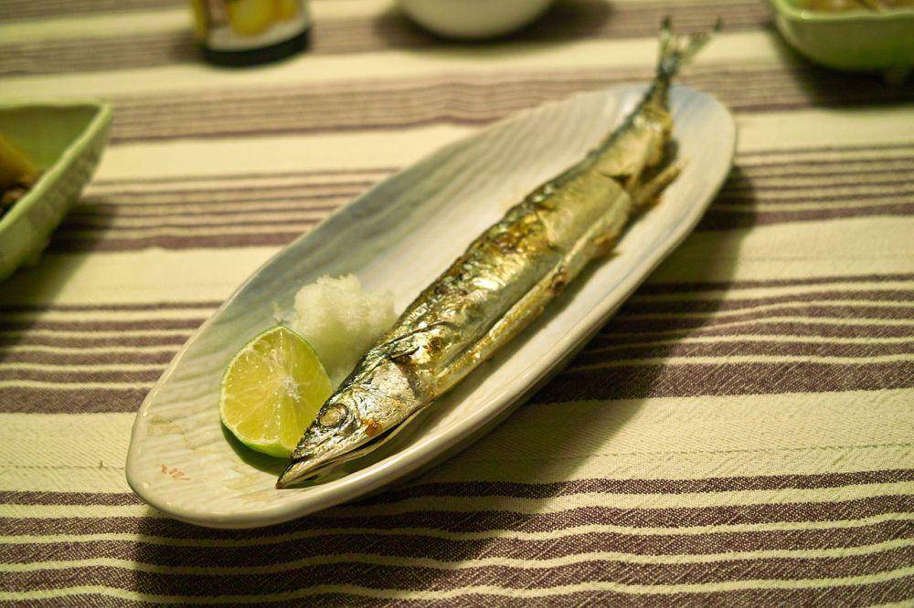 ilustrasi pacific saury (wikimedia.org/kei51)