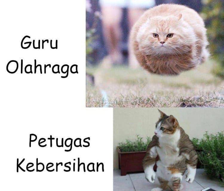 meme guru penjaskes (facebook.com/profile.php?id=100055216735712))