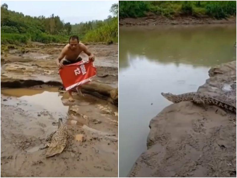 Tangkapan layar penampakan buaya di Sungai Oya Gunungkidul (Instagram.com/ceritagunungkidul)