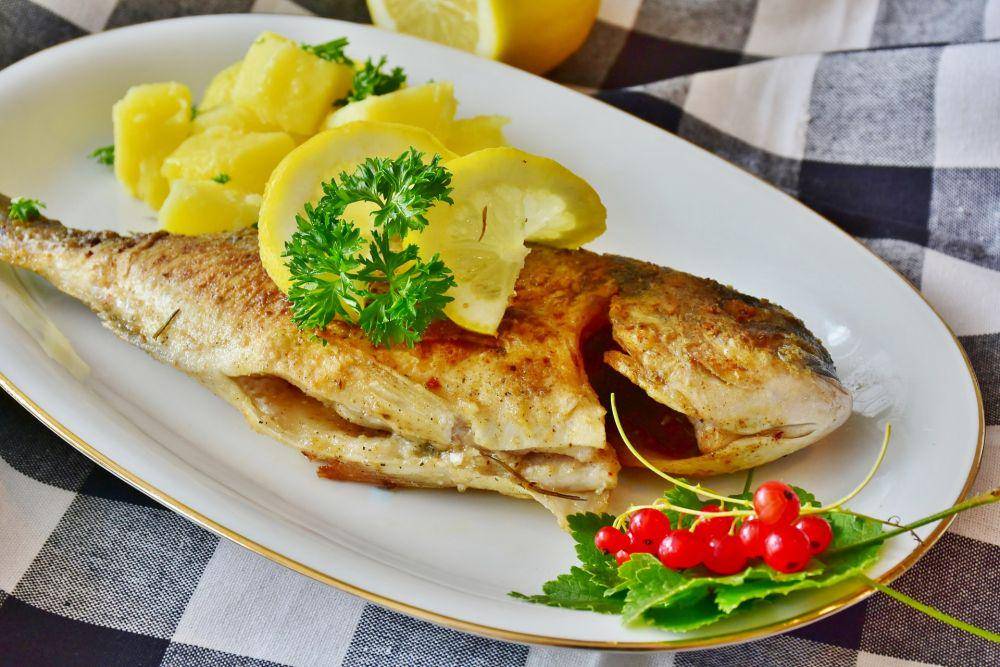 ilustrasi sea bream (pixabay.com/RitaE)