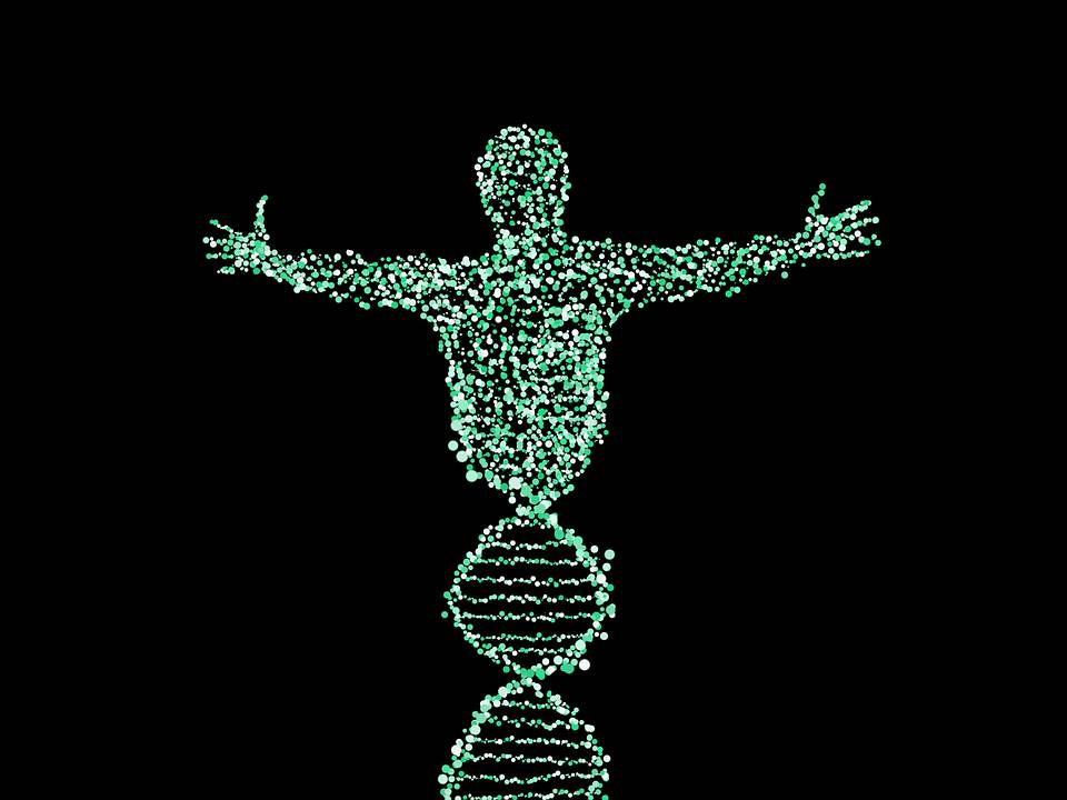 ilustrasi rekayasa genetika (pixabay.com/Schaferle)