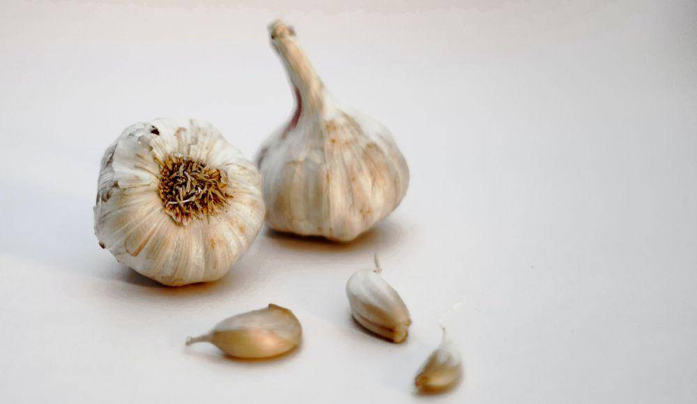 ilustrasi bawang putih (unsplash.com/@sanjaidosajh)