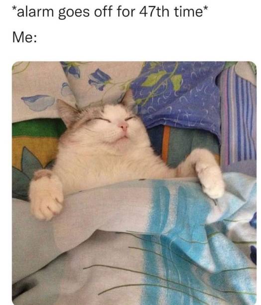 meme lucu alarm (instagram.com/doormandiaries)