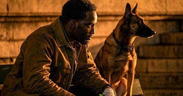 Tracker dan anjingnya menyaksikan duel John vs Caine - John Wick 4 ( Dok. instagram.com/shamieranderson )
