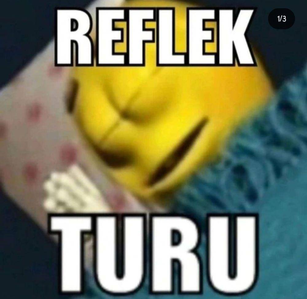 meme turu (instagram.com/pretty.piiw)