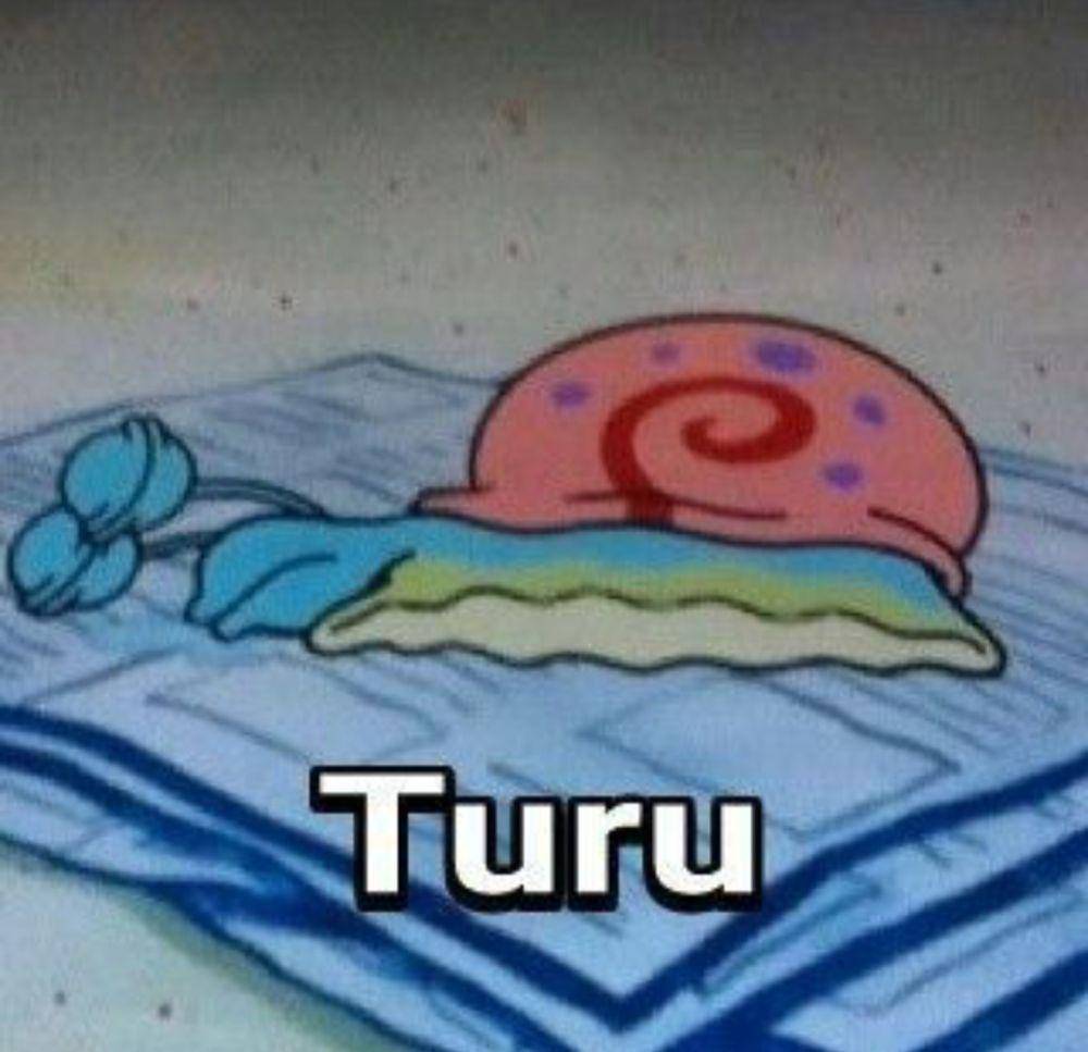 meme turu (instagram.com/lesmantaxd)