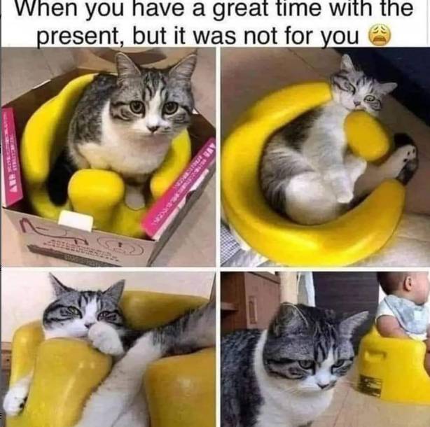 meme hidup ambyar (instagram.com/minions.r.relateable)