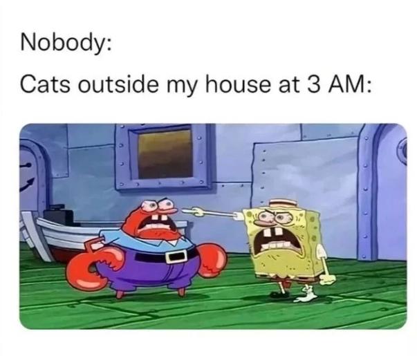meme dini hari (instagram.com/extradrink)