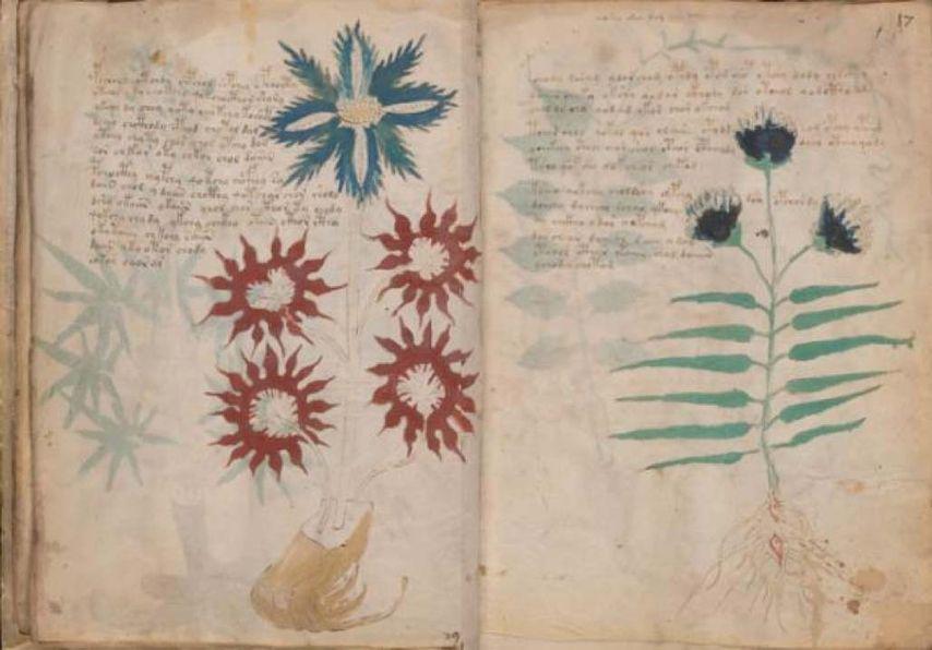 naskah voynich (ancient-origins.net)