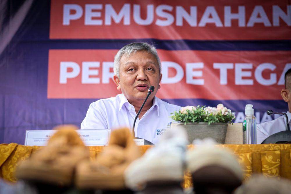 Deputi Bidang UKM Kementerian Koperasi dan UKM Hanung Harimba Rachman (Dok. KemenKopUKM)