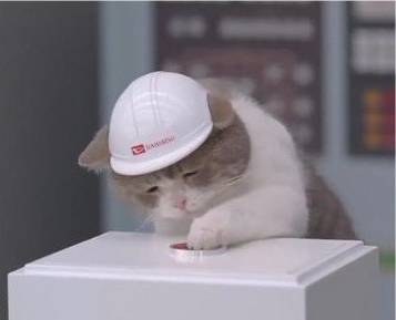 potret lucu kucing capek kerja (twitter.com/CatWorkers)
