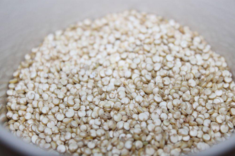 quinoa (pixabay.com/rose224)