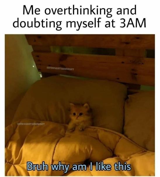 meme dini hari (instagram.com/introvertsofsociety)