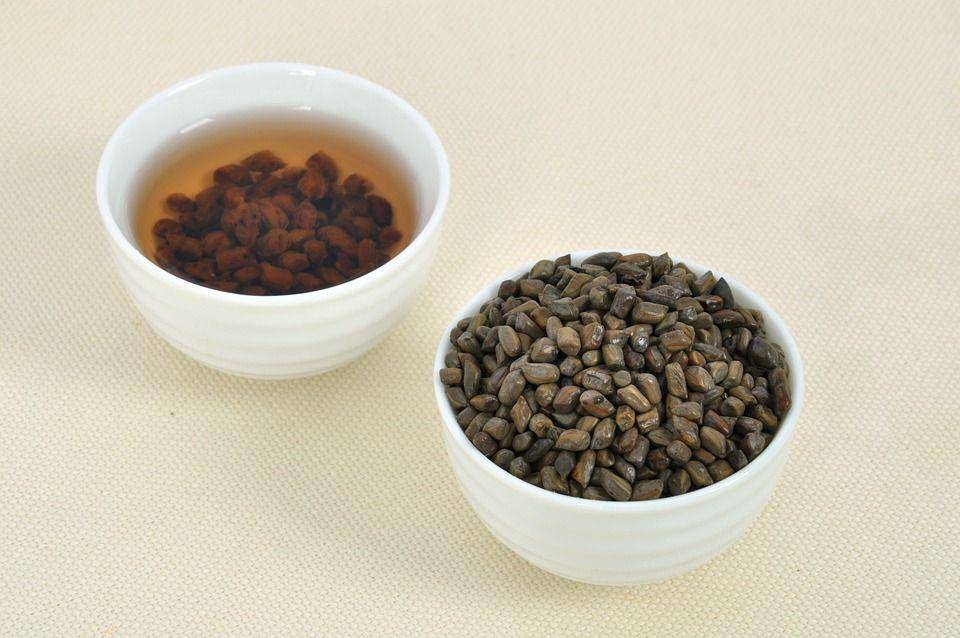 Ilustrasi barley tea (pixabay.com/joakwan)