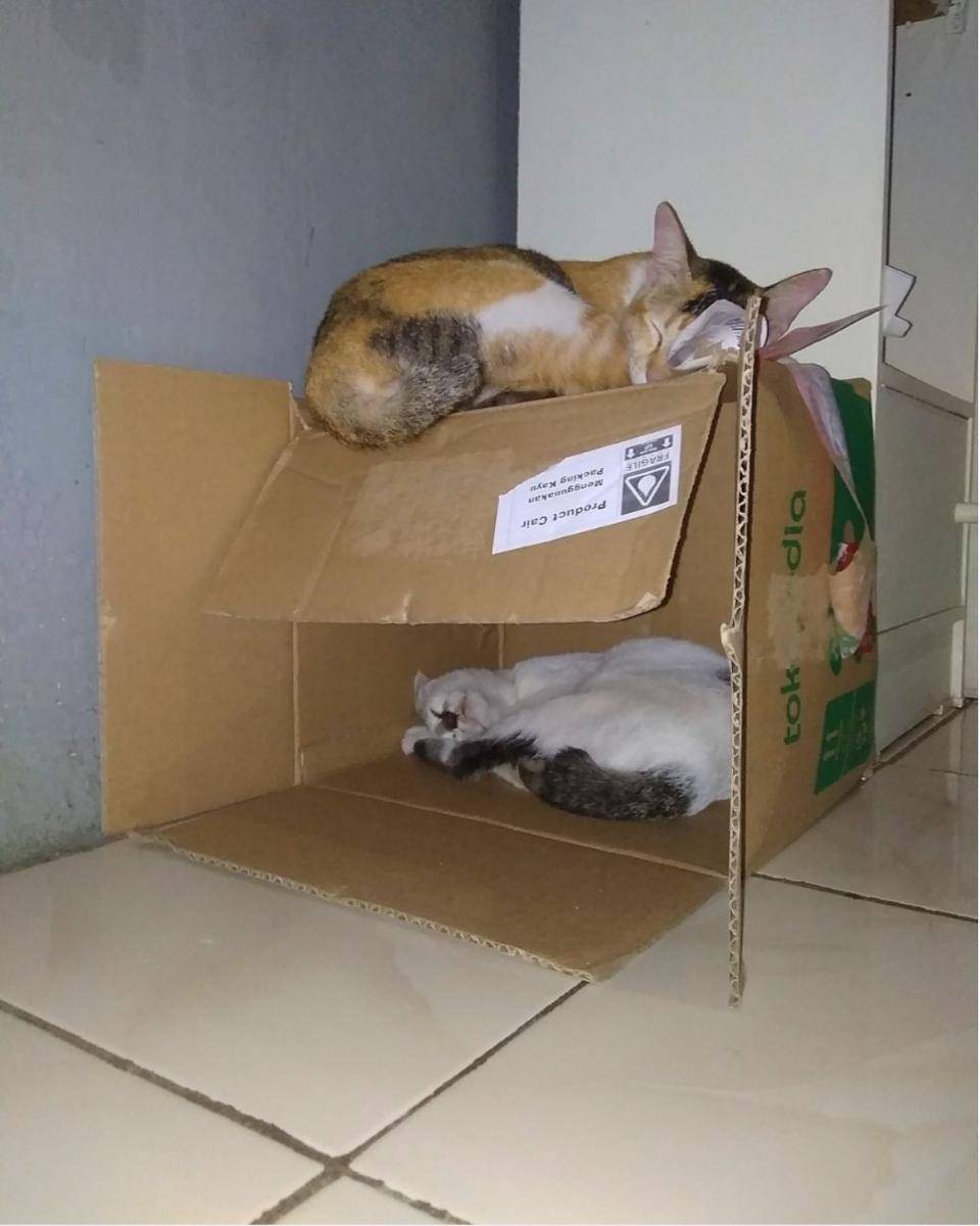 Dok. pribadi/El Rui