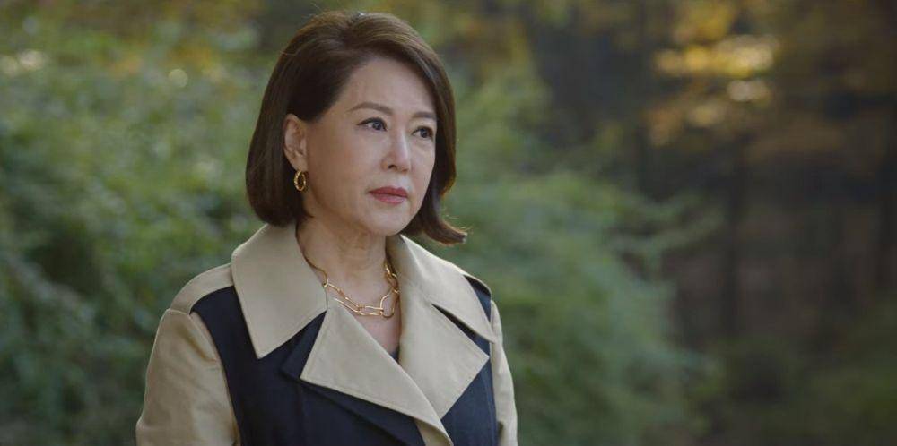 Divorce Attorney Shin (dok. Netflix/Divorce Attorney Shin)