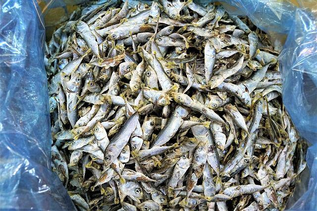 ilustrasi ikan asin klotok (pixabay.com/photosforyou)