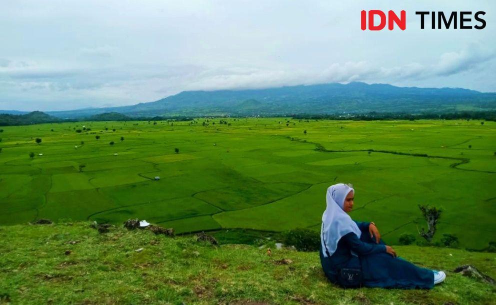 Segarnya Bukit Doro Si'i di Bima dengan Pemandangan Hamparan Sawah
