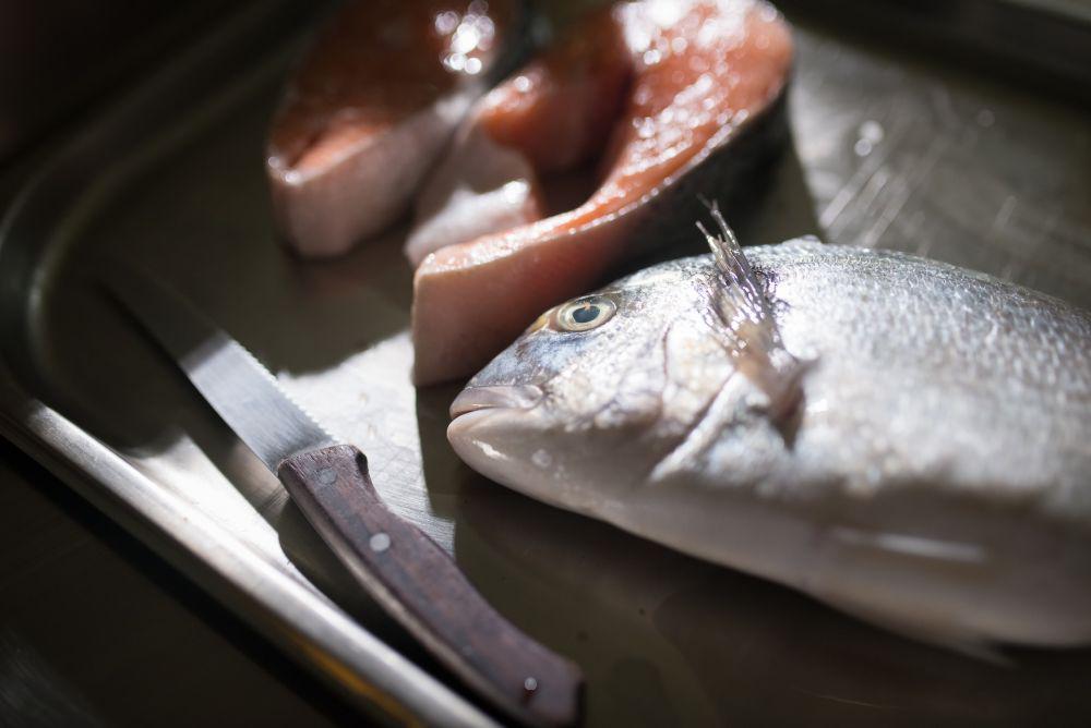 ilustrasi ikan bandeng (pexels.com/Kampus Production)