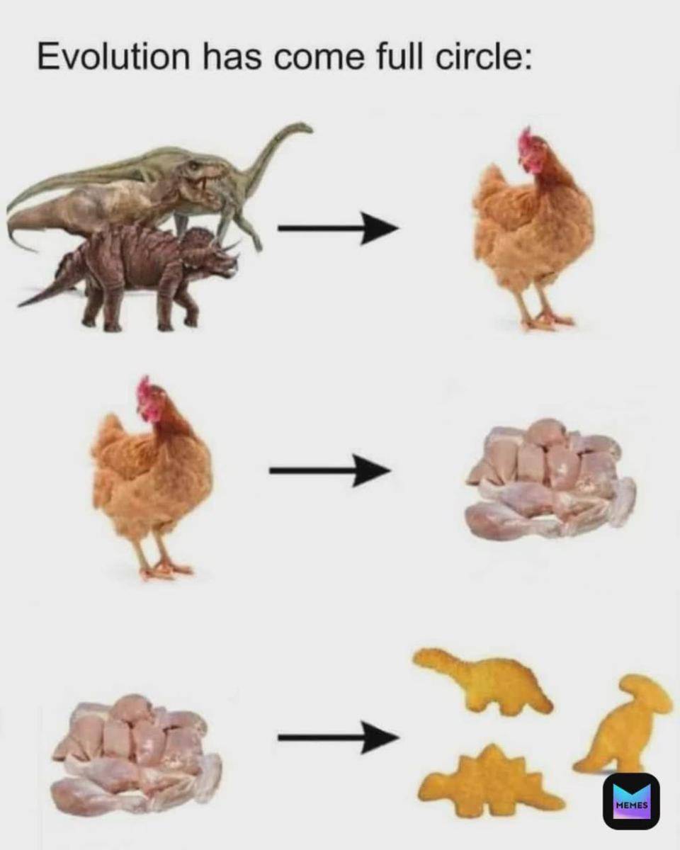 meme evolusi (cdn.memes.com)