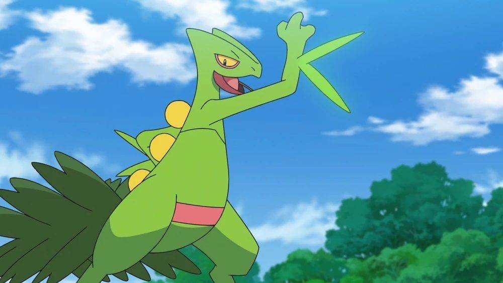 Sceptile (dok. pokemon.fandom)