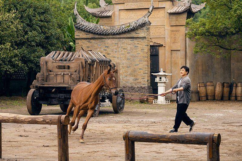 Dok. Alibaba Pictures