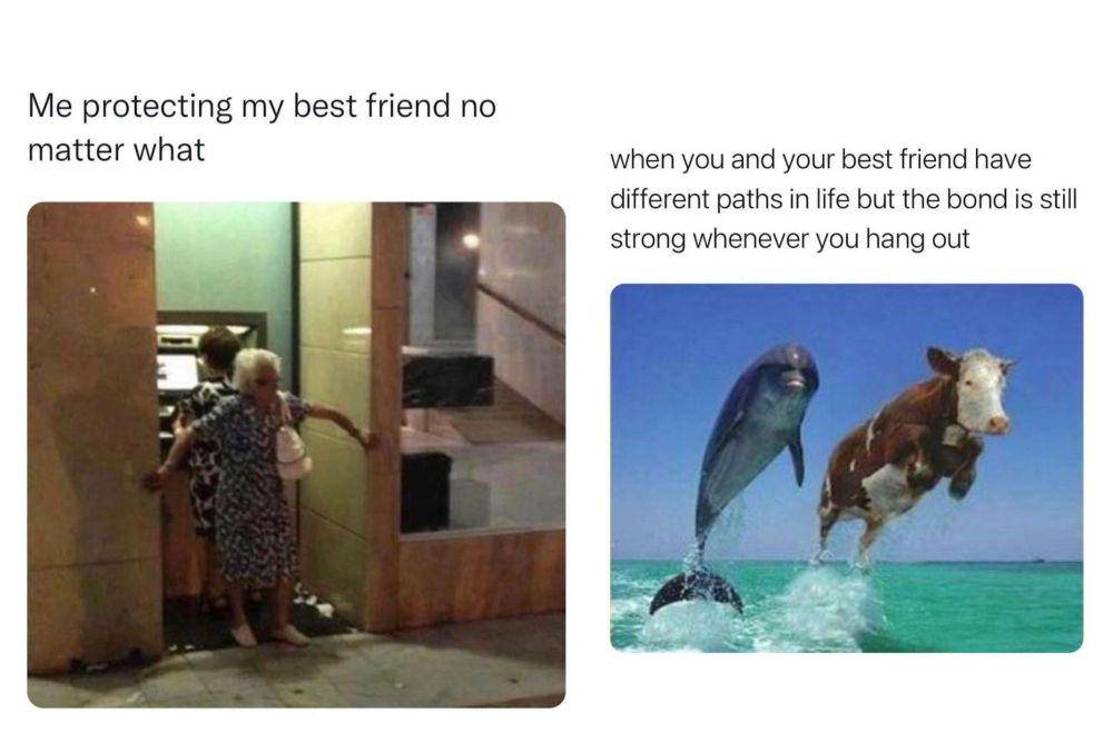 kolase meme kamu dan bestie (instagram.com/memesandmoodz I instagram.com/realisingz)