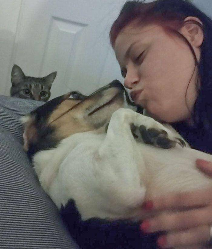 potret hewan cemburu (reddit.com/xSpiderBabyx)