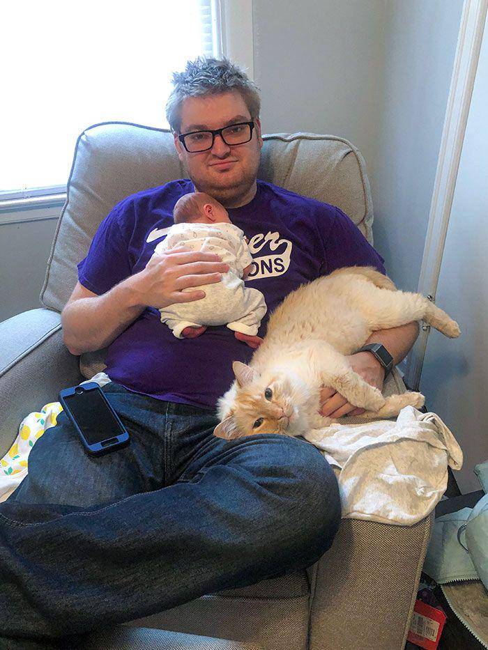 potret hewan cemburu (reddit.com/catlover3434)