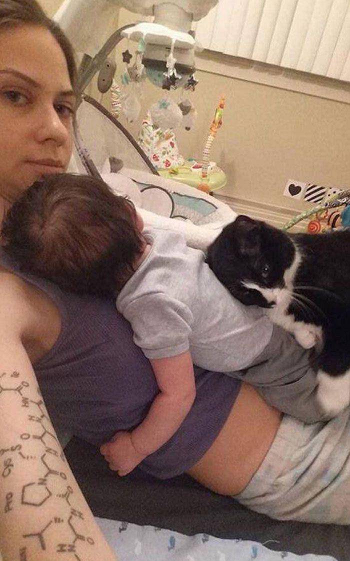 potret hewan cemburu (reddit.com/fatihcik)