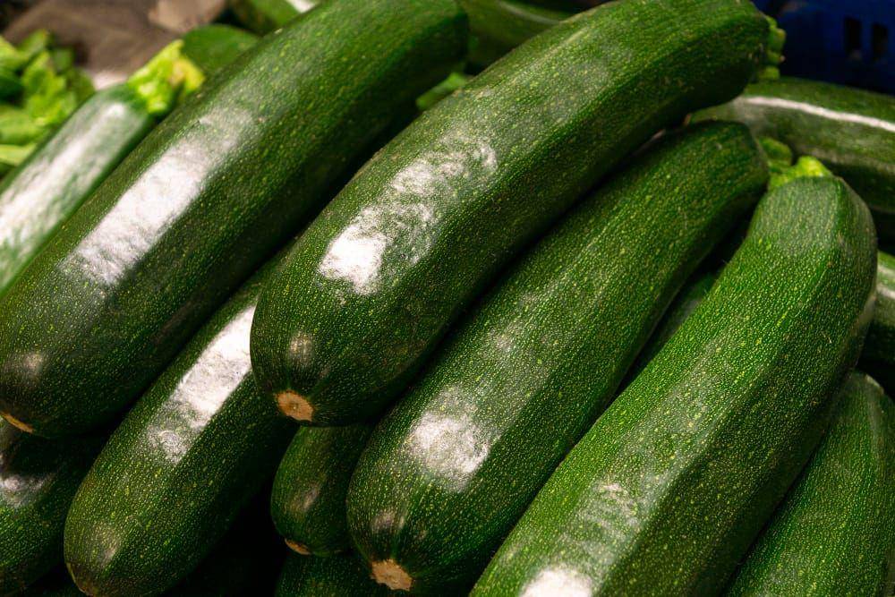 Zucchini (freepik.com/Freepik)